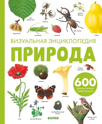 Дельфин Гравье-Бадреддин Природа. Визуальная энциклопедия