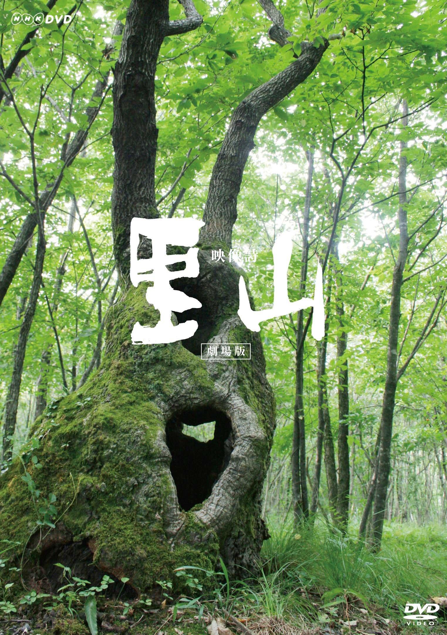 Визуальная поэзия Сатояма ~Театральная версия~ [DVD]